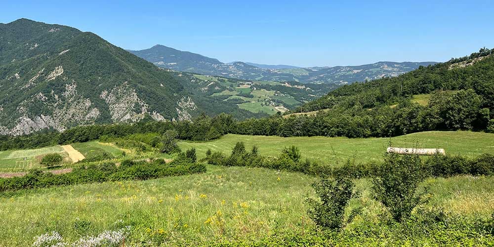 本場イタリアの香りと風味