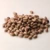 MM Italia 乾燥ボルロッティ（うずら豆） 250g