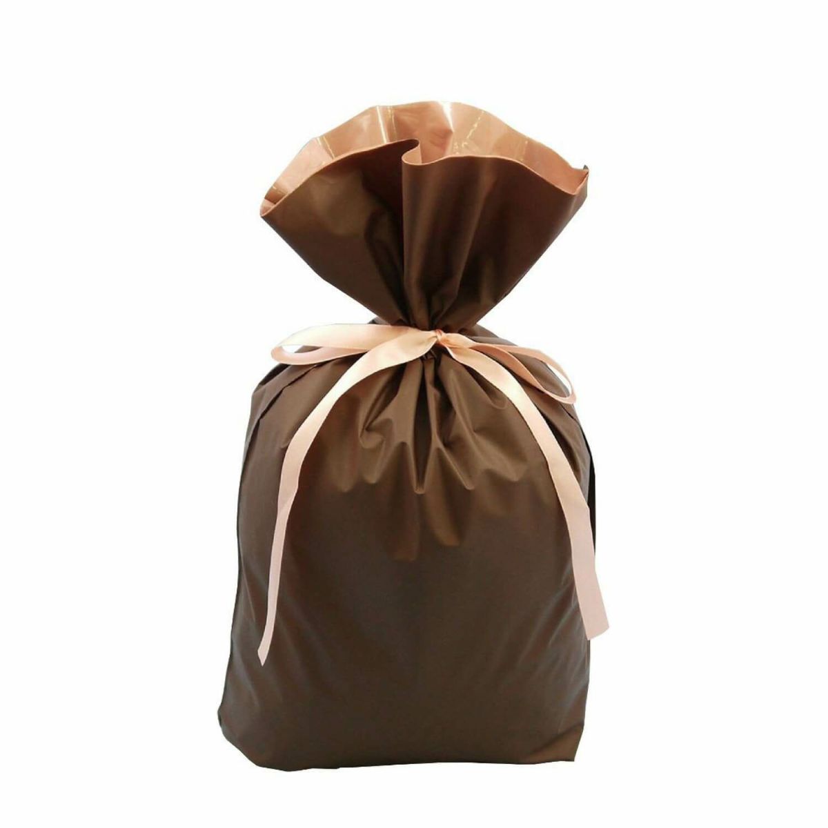 リボン付きギフトバッグ ブラウン L