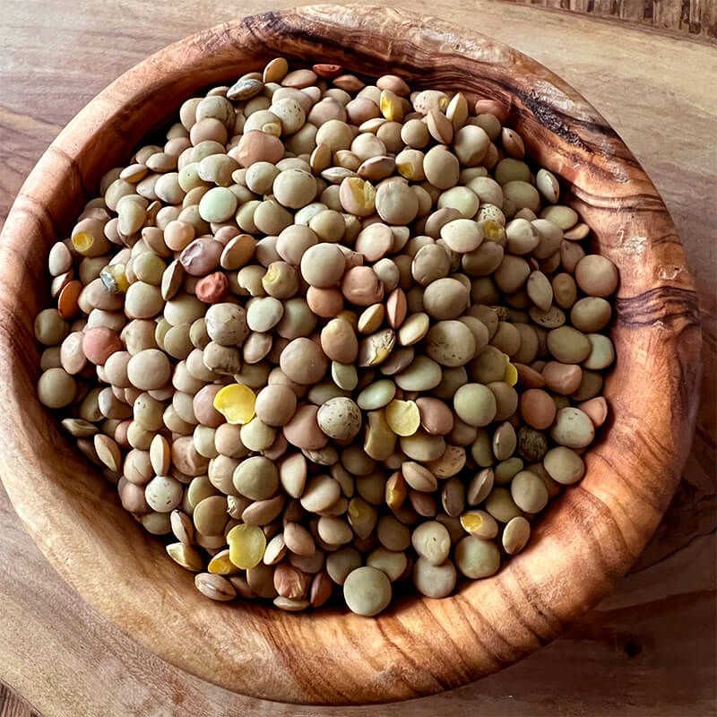 Pacina パーチナ レンズ豆 500g