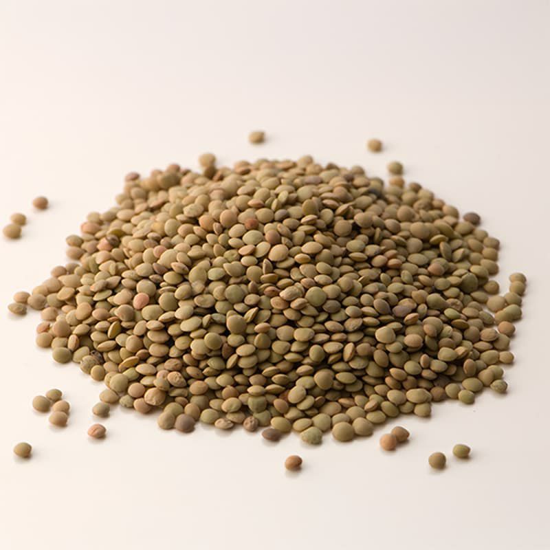 イタリア産 レンズ豆 Sapori di Norcia（ノルチャ）500g