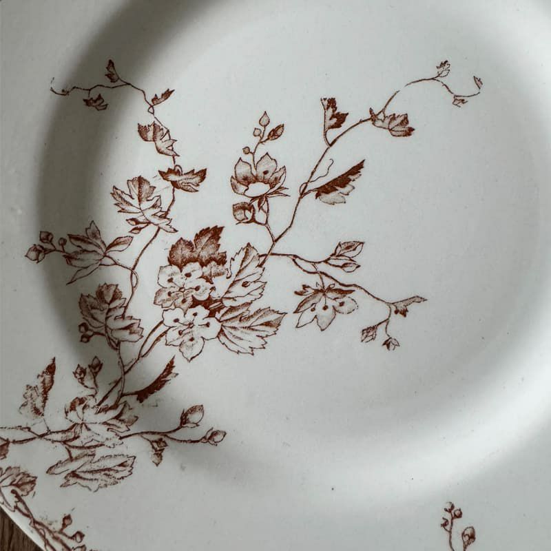 リュネヴィル PRINTEMPS_A Φ24cm