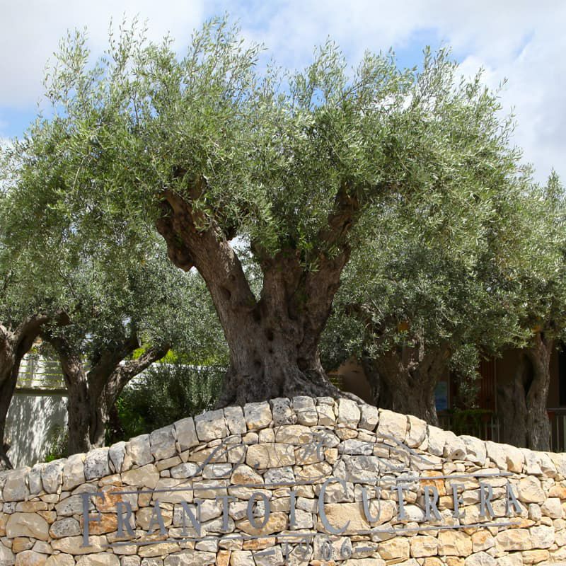 Frantoi Cutrera EXVオリーブオイル「Selezione Cutrera」500ml