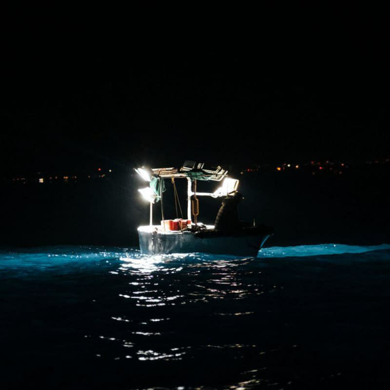 Scalia スカーリア アンチョビペースト 60g