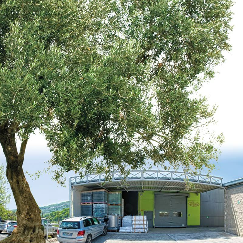 ジェノベーゼソース 180g｜ジェノヴァ産D.O.Pバジル使用　（Ranise社）