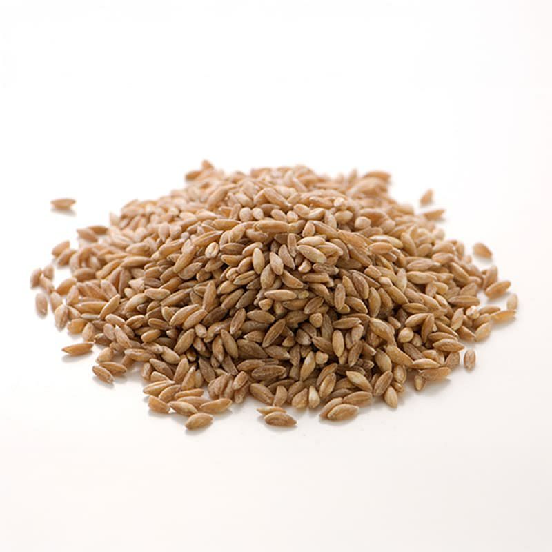 チッケティ｜ファッロ（スペルト小麦／古代小麦）乾燥 500g