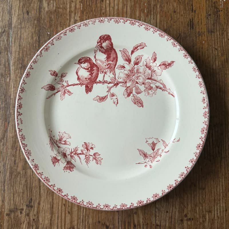 サルグミンヌ Favori 平皿