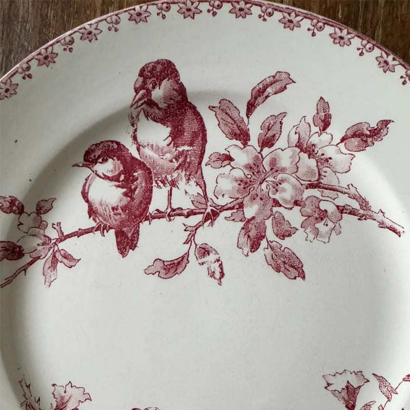 サルグミンヌ Favori 平皿